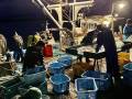 新鮮な魚を漁に出て仕入れています